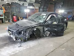 Honda salvage cars for sale: 2012 Honda Accord EXL