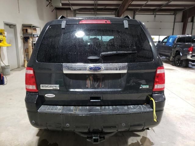 2011 Ford Escape Limited