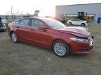 2016 Ford Fusion SE Hybrid