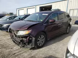 Honda salvage cars for sale: 2015 Honda Odyssey EX