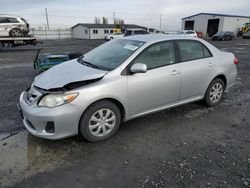 Toyota Corolla salvage cars for sale: 2011 Toyota Corolla Base