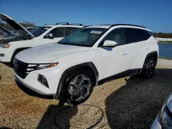 Salvage cars for sale at Arcadia, FL auction: 2024 Hyundai Tucson SEL