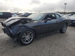 Dodge salvage cars for sale: 2017 Dodge Challenger GT