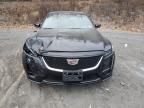 2023 Cadillac CT5 Sport