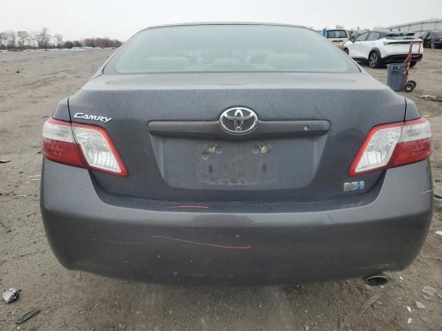 2008 Toyota Camry Hybrid