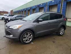 Salvage cars for sale from Copart Columbus, OH: 2014 Ford Escape SE