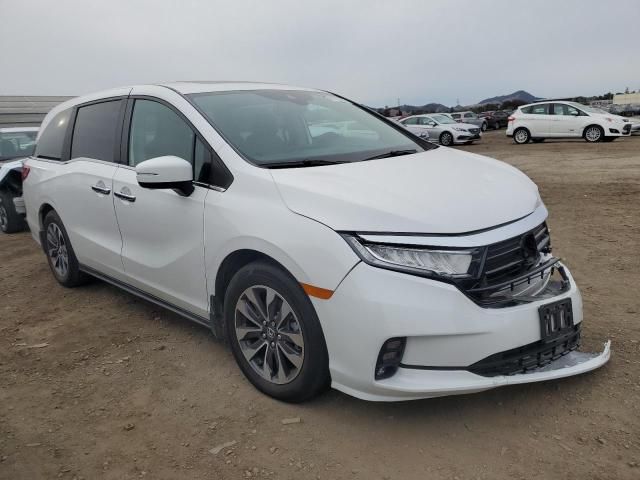 2024 Honda Odyssey EXL