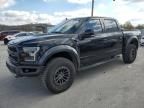 2019 Ford F150 Raptor