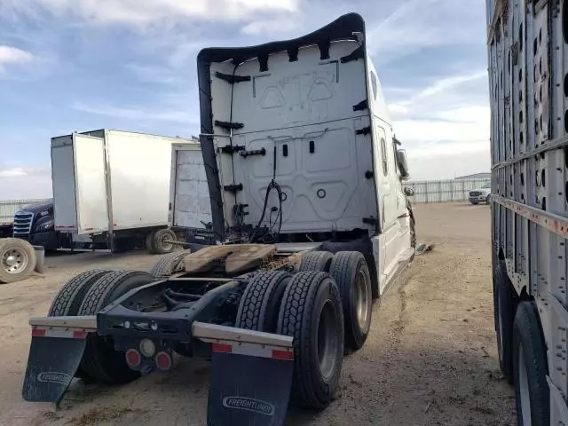 2021 Freightliner Cascadia 126