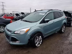 Salvage cars for sale at Elgin, IL auction: 2013 Ford Escape SEL