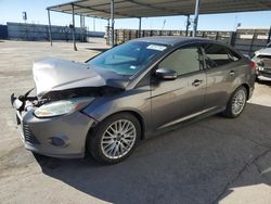 Salvage cars for sale at Anthony, TX auction: 2014 Ford Focus SE