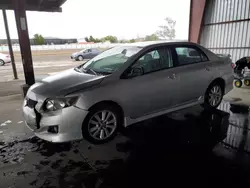 2010 Toyota Corolla Base en venta en American Canyon, CA