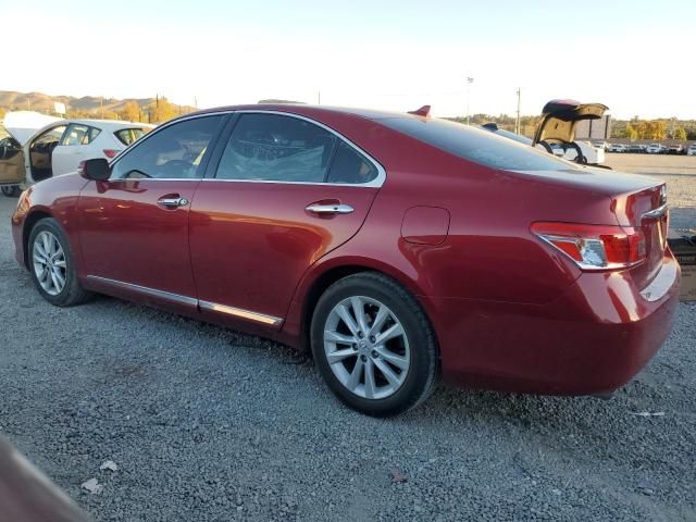 2011 Lexus ES 350