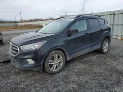 2018 Ford Escape SE en venta en Ottawa, ON