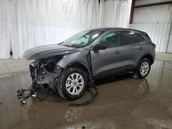 Ford salvage cars for sale: 2024 Ford Escape Active