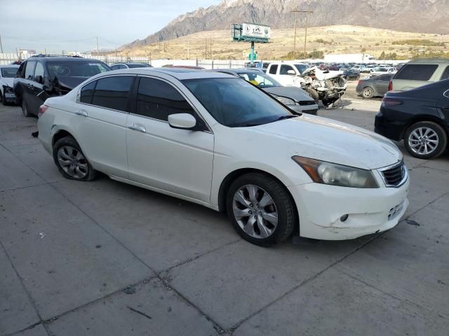 2010 Honda Accord EXL