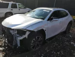 Lexus salvage cars for sale: 2020 Lexus UX 250H