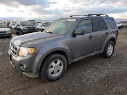 Salvage cars for sale from Copart Cleveland: 2011 Ford Escape XLT