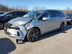 Salvage cars for sale at Marlboro, NY auction: 2021 Honda Odyssey EX