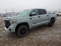 Salvage cars for sale at Helena, MT auction: 2021 Toyota Tundra Crewmax SR5