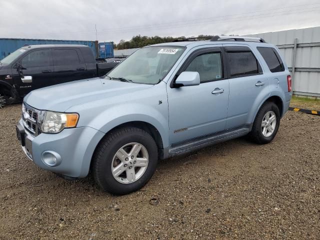 2008 Ford Escape HEV