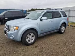 Salvage cars for sale from Copart Anderson, CA: 2008 Ford Escape HEV