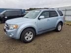 2008 Ford Escape HEV