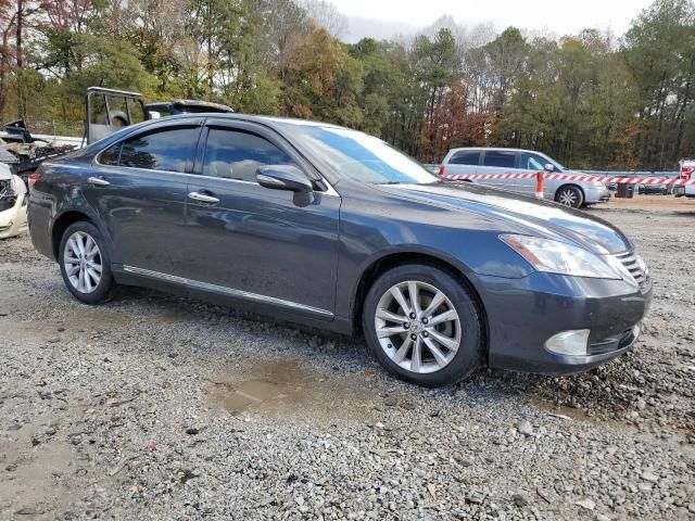 2010 Lexus ES 350