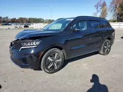 Salvage cars for sale at Dunn, NC auction: 2023 KIA Sorento S