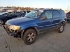 2007 Ford Escape XLT