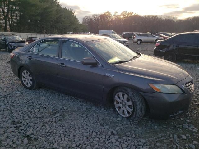 2009 Toyota Camry Hybrid