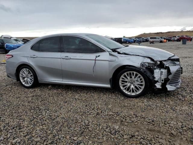 2020 Toyota Camry XLE