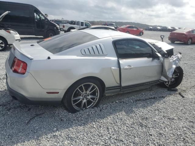 2010 Ford Mustang