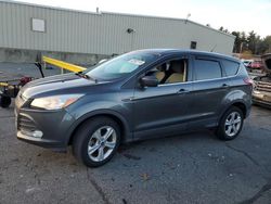 Compre carros salvage a la venta ahora en subasta: 2016 Ford Escape SE