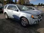 2008 Ford Escape HEV