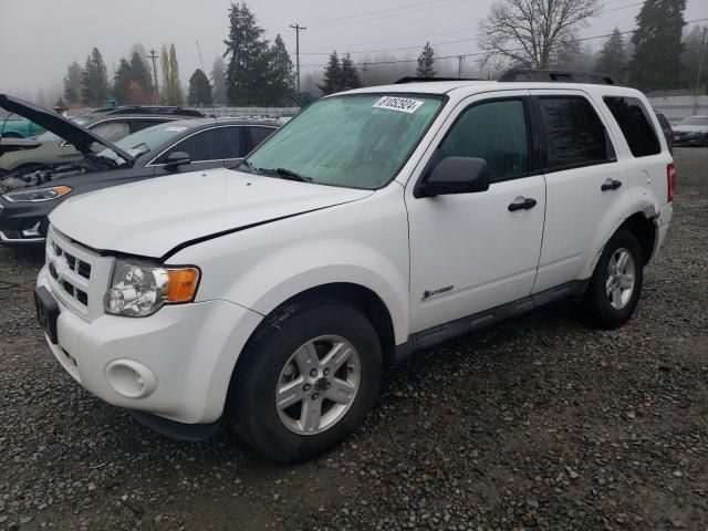 2009 Ford Escape Hybrid