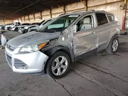 Salvage cars for sale at Phoenix, AZ auction: 2014 Ford Escape SE