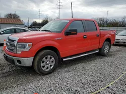 Salvage cars for sale at Columbus, OH auction: 2014 Ford F150 Supercrew