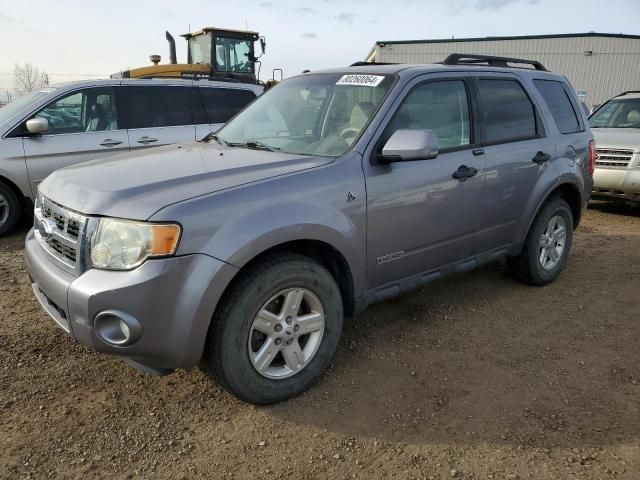 2008 Ford Escape HEV