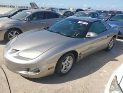 Salvage Cars with No Bids Yet For Sale at auction: 2002 Pontiac Firebird