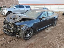 Salvage cars for sale at Rapid City, SD auction: 2019 KIA Stinger GT Line