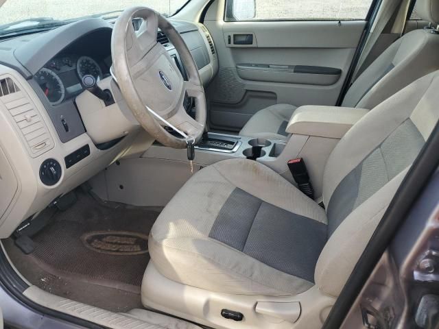 2008 Ford Escape XLT