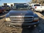 2004 Dodge Dakota SLT