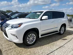 2019 Lexus GX 460 en venta en Arcadia, FL