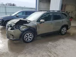 Subaru salvage cars for sale: 2024 Subaru Forester Premium