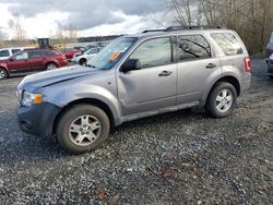 Ford salvage cars for sale: 2008 Ford Escape XLT