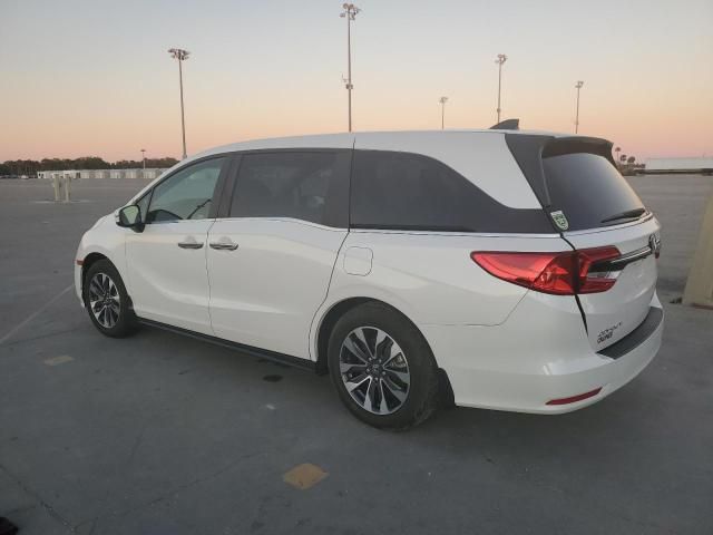 2024 Honda Odyssey EXL