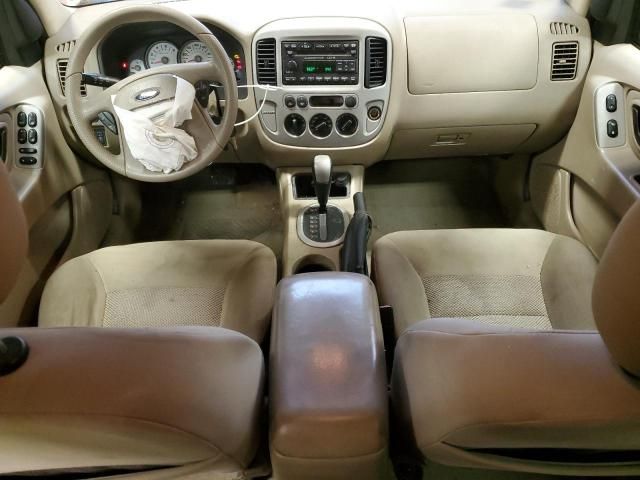 2007 Ford Escape XLT