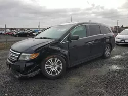 Honda salvage cars for sale: 2012 Honda Odyssey EXL