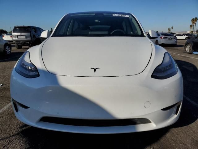 2020 Tesla Model Y